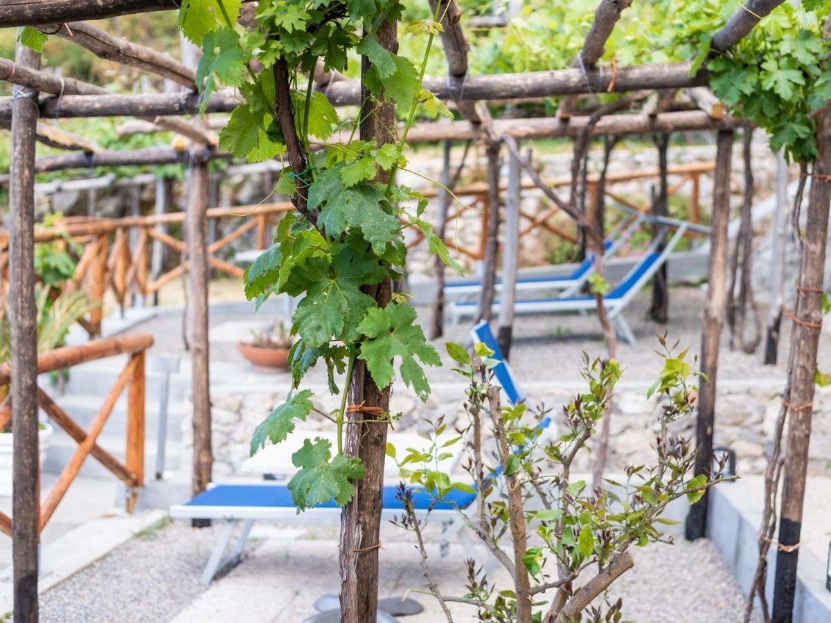 Albergo Diffuso Bacco Furore Esterno foto
